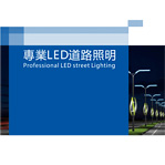 专业 LED 道路照明